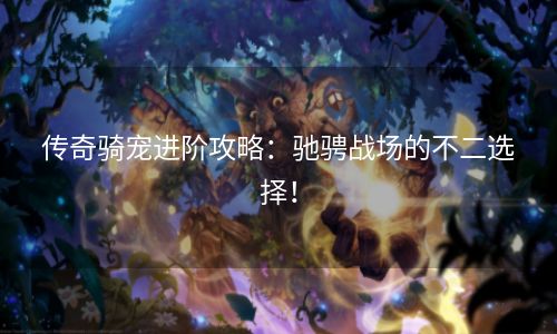 传奇骑宠进阶攻略：驰骋战场的不二选择！