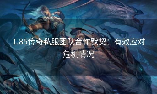 1.85传奇私服团队合作默契：有效应对危机情况