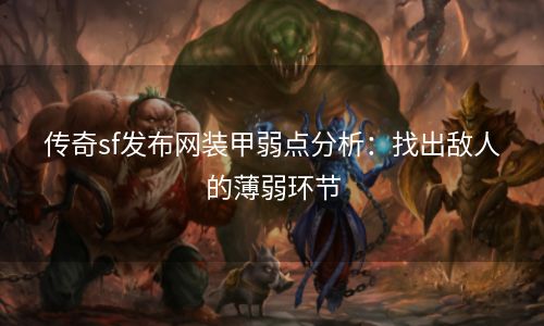 传奇sf发布网装甲弱点分析：找出敌人的薄弱环节