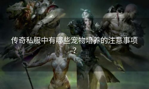传奇私服中有哪些宠物培养的注意事项？