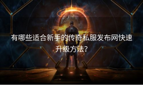 有哪些适合新手的传奇私服发布网快速升级方法？