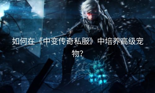 如何在《中变传奇私服》中培养高级宠物？
