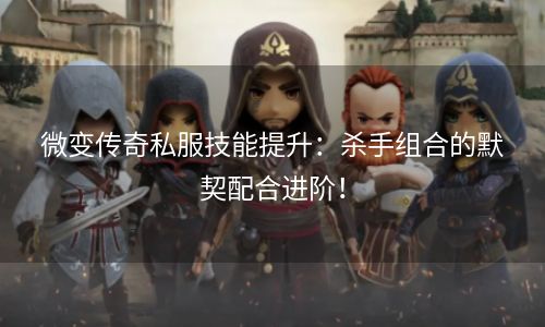 微变传奇私服技能提升：杀手组合的默契配合进阶！