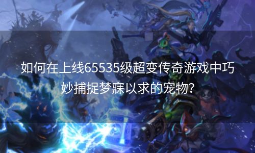 如何在上线65535级超变传奇游戏中巧妙捕捉梦寐以求的宠物？