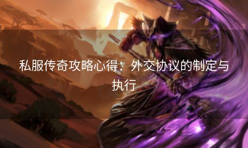 私服传奇攻略心得：外交协议的制定与执行