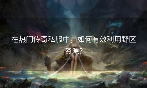 在热门传奇私服中，如何有效利用野区资源？