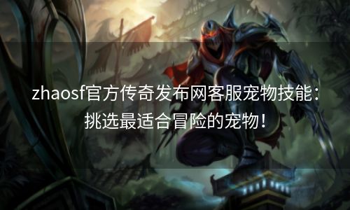zhaosf官方传奇发布网客服宠物技能：挑选最适合冒险的宠物！