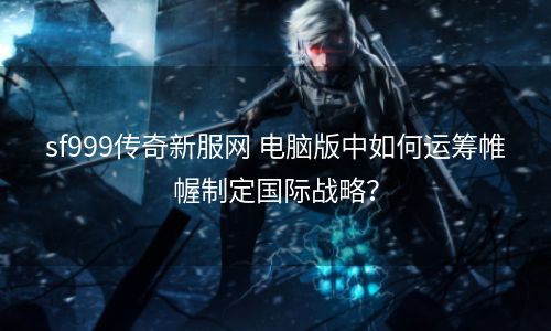 sf999传奇新服网 电脑版中如何运筹帷幄制定国际战略？