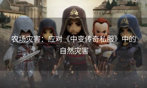 农场灾害：应对《中变传奇私服》中的自然灾害