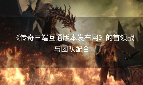 《传奇三端互通版本发布网》的首领战与团队配合