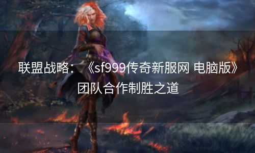 联盟战略：《sf999传奇新服网 电脑版》团队合作制胜之道