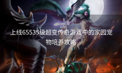 上线65535级超变传奇游戏中的家园宠物培养攻略