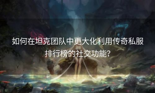 如何在坦克团队中更大化利用传奇私服排行榜的社交功能？