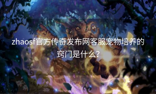 zhaosf官方传奇发布网客服宠物培养的窍门是什么？