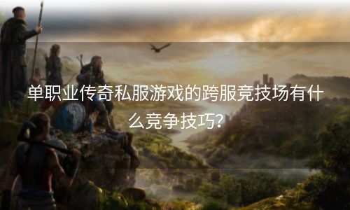 单职业传奇私服游戏的跨服竞技场有什么竞争技巧？