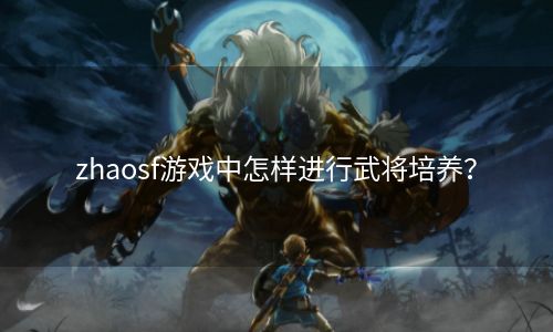 zhaosf游戏中怎样进行武将培养？