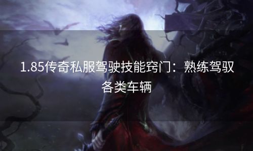 1.85传奇私服驾驶技能窍门：熟练驾驭各类车辆