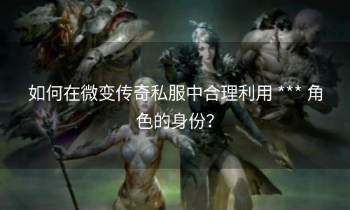 如何在微变传奇私服中合理利用 *** 角色的身份？
