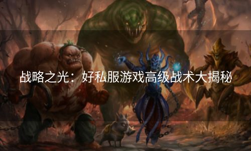 战略之光：好私服游戏高级战术大揭秘