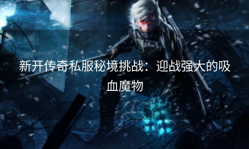 新开传奇私服秘境挑战：迎战强大的吸血魔物