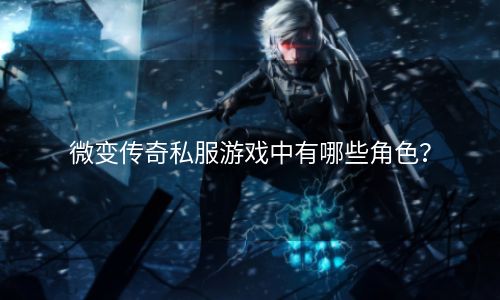微变传奇私服游戏中有哪些角色？