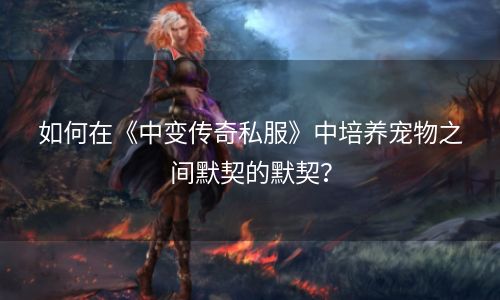 如何在《中变传奇私服》中培养宠物之间默契的默契？