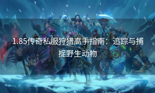 1.85传奇私服狩猎高手指南：追踪与捕捉野生动物