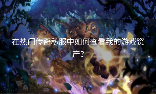 在热门传奇私服中如何查看我的游戏资产？