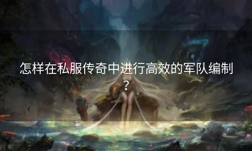 怎样在私服传奇中进行高效的军队编制？