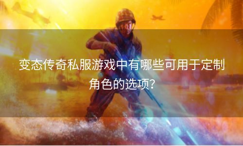 变态传奇私服游戏中有哪些可用于定制角色的选项？