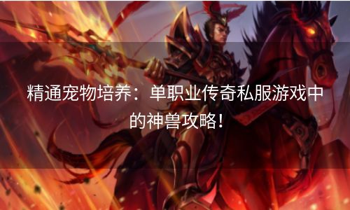 精通宠物培养：单职业传奇私服游戏中的神兽攻略！