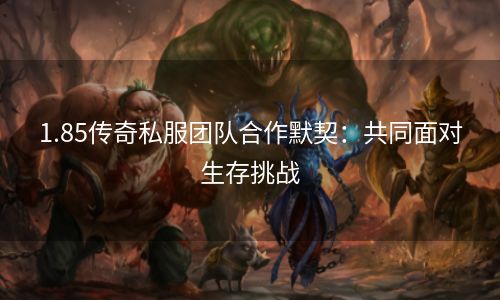 1.85传奇私服团队合作默契：共同面对生存挑战