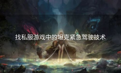 找私服游戏中的坦克紧急驾驶技术
