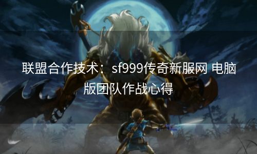 联盟合作技术：sf999传奇新服网 电脑版团队作战心得