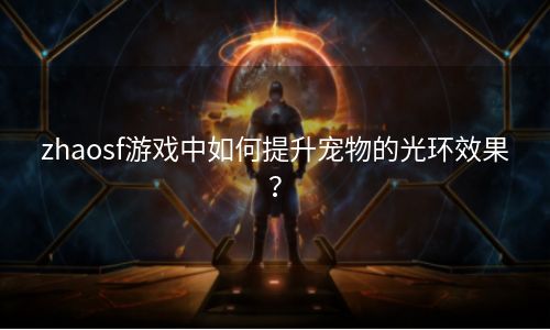 zhaosf游戏中如何提升宠物的光环效果？