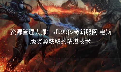 资源管理大师：sf999传奇新服网 电脑版资源获取的精湛技术