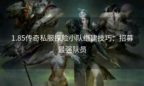 1.85传奇私服探险小队组建技巧：招募最强队员